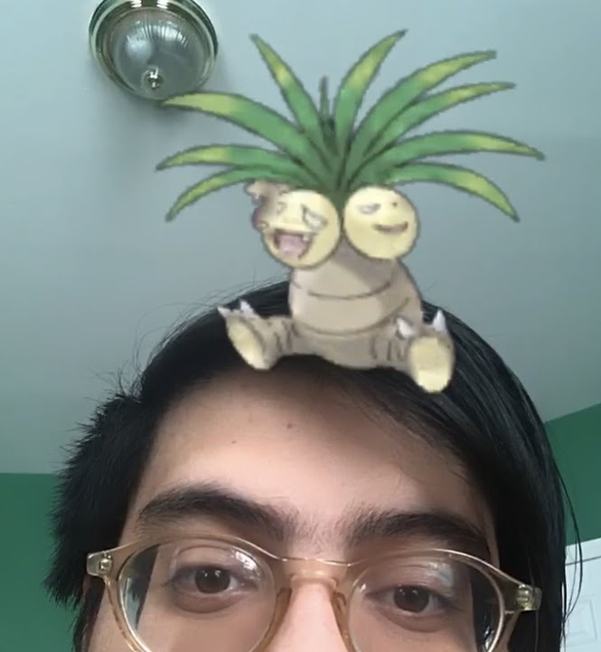 Photo de la moitié supérieure de la tête d'un homme aux cheveux noirs et aux yeux bruns. Une image du Pokémon Exeggutor est assise sur sa tête.